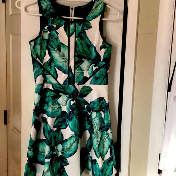 Miss Behave Other - Miss Behave dress size 12